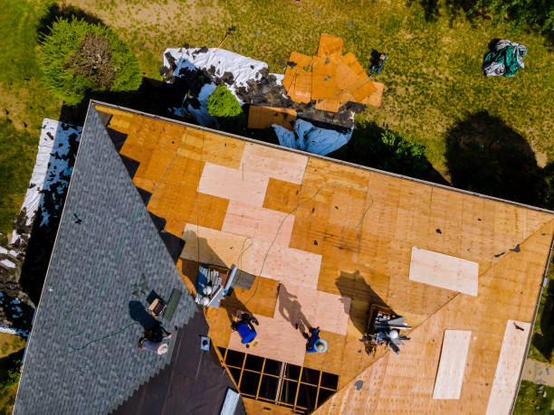 Best Roof Gutter Cleaning  in Geneva, NY