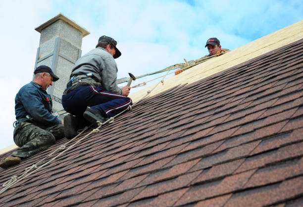 Best Local Roofing Companies  in Geneva, NY